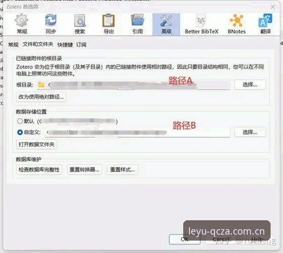 乐鱼体育平台CN迭代QCZA版使用指南：从注册到数据同步的完整路径